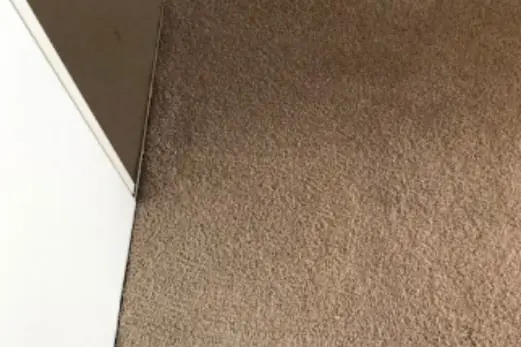 Carpet Cleaning in Hurstbridge