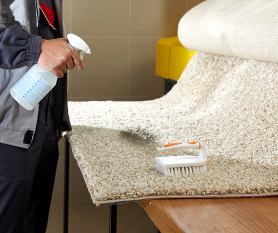 Importance of Carpet Cleaning